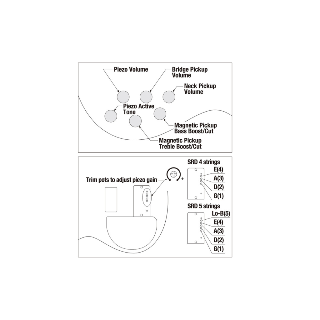 Бас-гітара Ibanez SRD900F-BTL (234961) - зображення 8