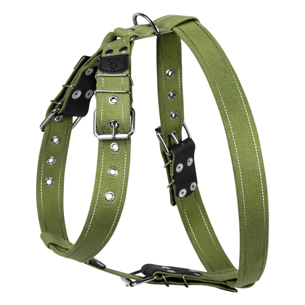 Шлея для собак Collar для великих собак N2 68-91 см зелена (0646) - зображення 1