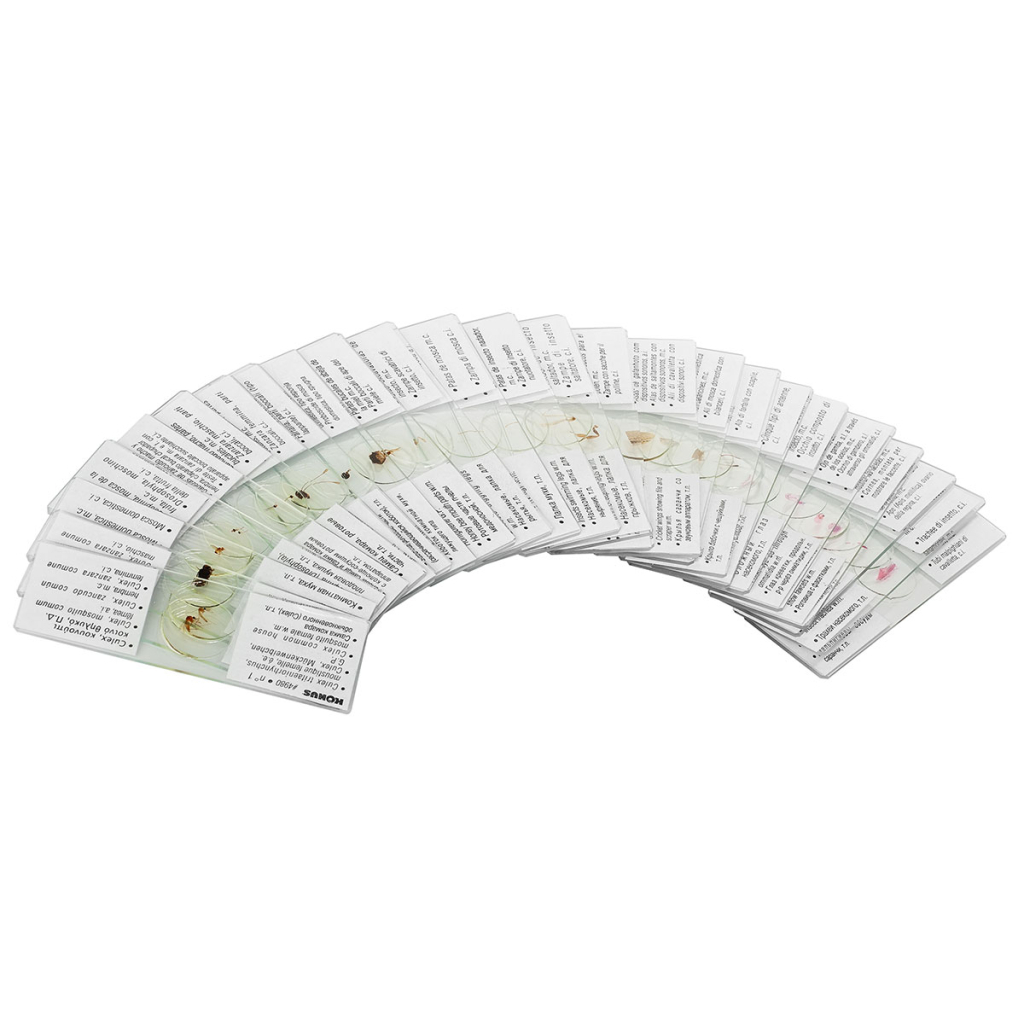 Набір мікропрепаратів Konus Зоологія Комахи 25 шт (4980) - зображення 3