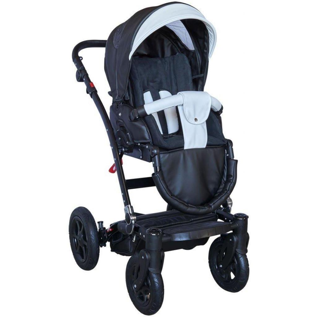 Коляска Tutek 2в1 Torero Eco (TOECO12/C) - зображення 2