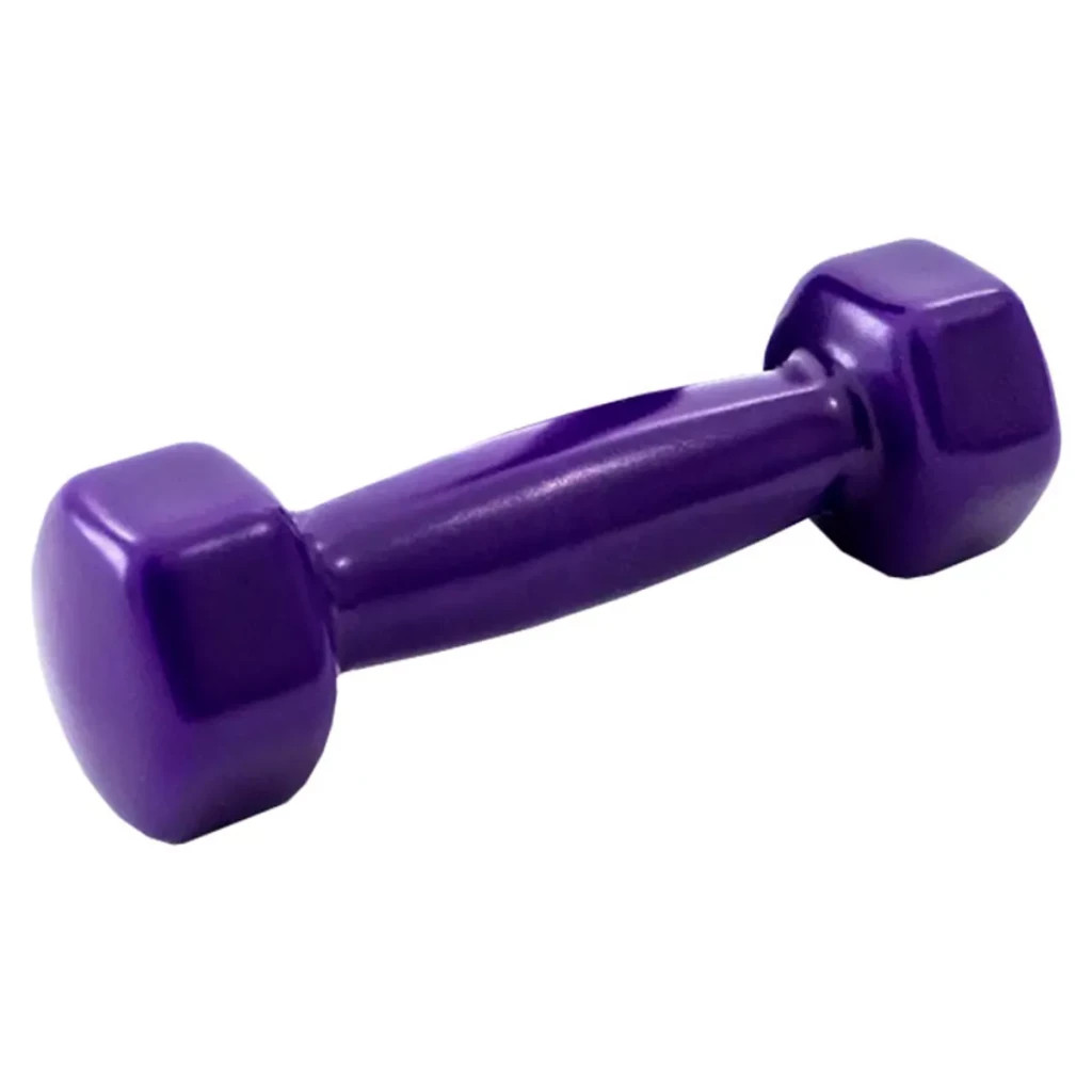 Гантель X-TREME 2,5 кг (117245) - зображення 1