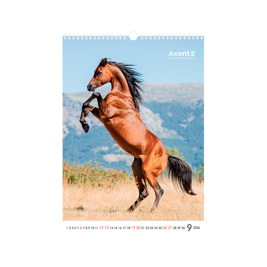 Календар Axent настінний А3 2026 р. Horses (8804-26-3-A) - зображення 10