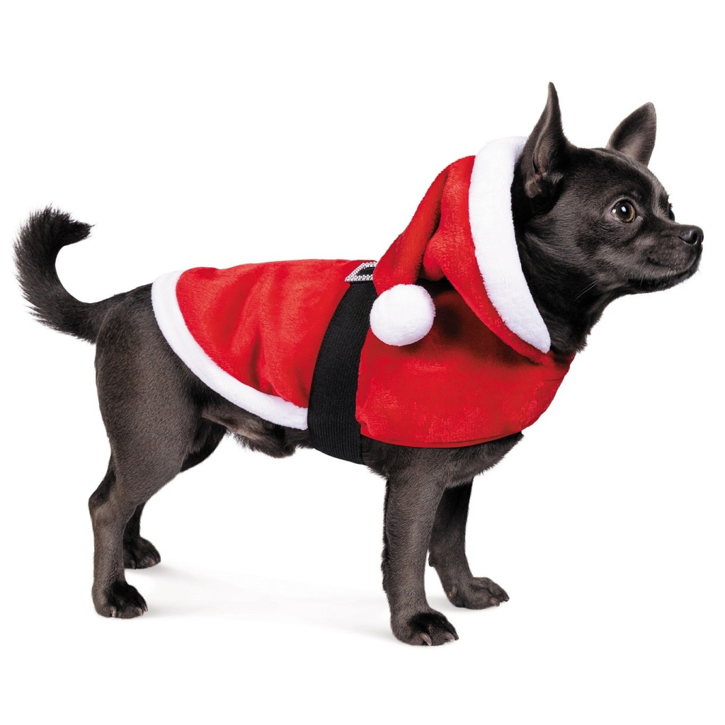 Попона для тварин Pet Fashion "SANTA" XS2 (4823082423675) - зображення 3