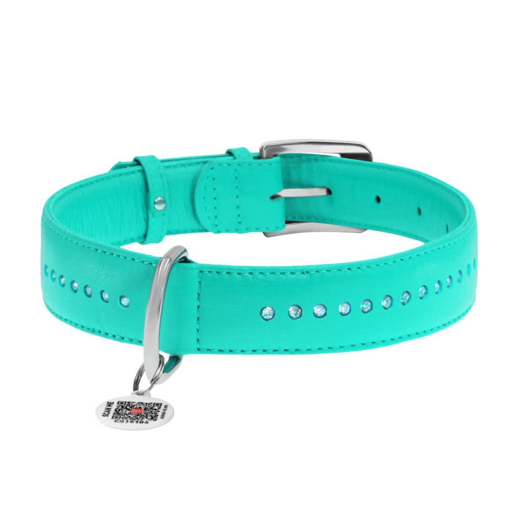 Нашийник для тварин WAUDOG Glamour з QR-паспортом, подвійний Ш 25 мм Д 38-49 см ментоловий (387813) - зображення 2