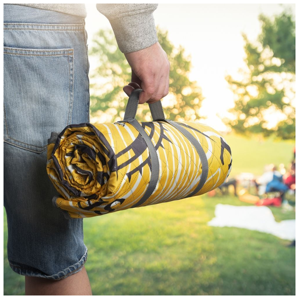 Плед Schwarzwolf для пікніка ALVERNIA 170 x 140 см, жовтий (F5600500AJ3) - зображення 4