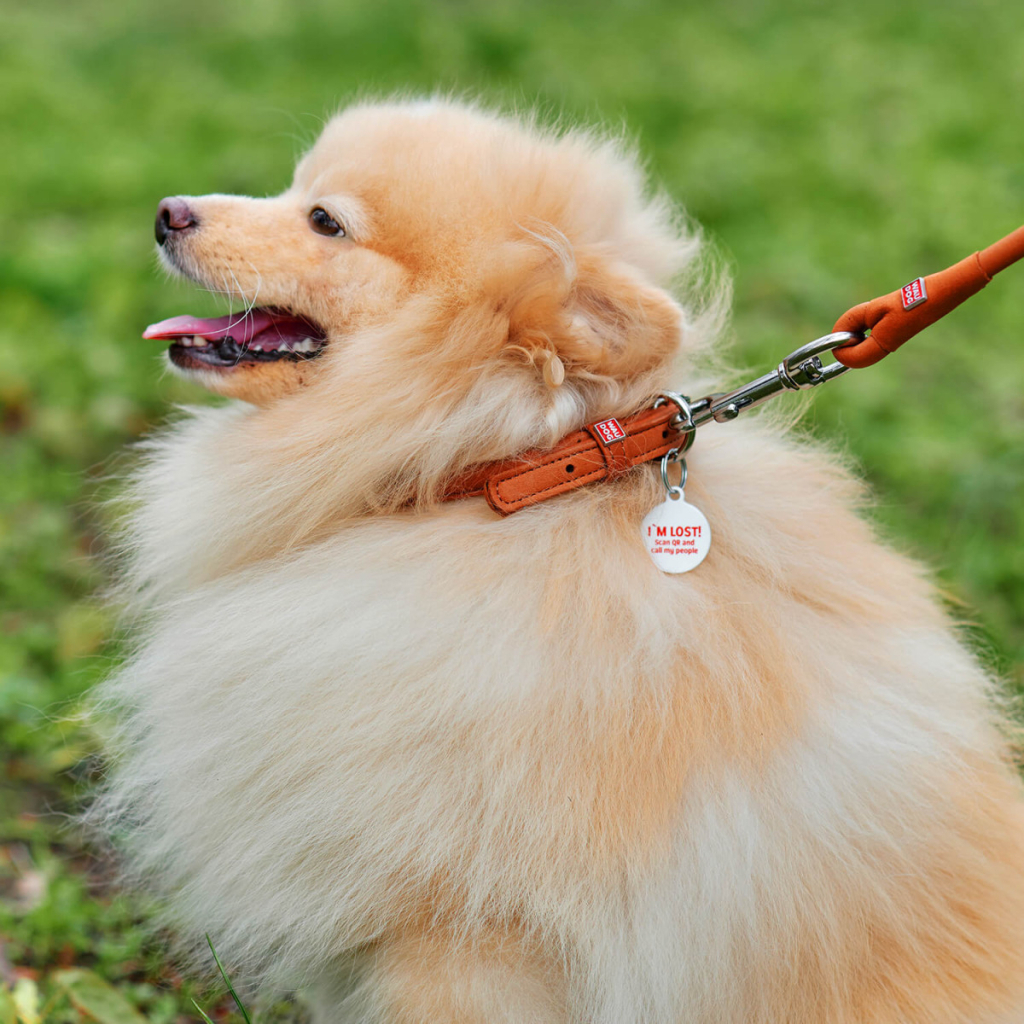 Нашийник для тварин WAUDOG Soft з QR паспортом круглий Д 6 мм Д 17-20 см коричневий (22306) - зображення 5