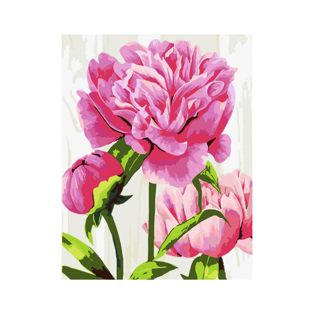 Картина по номерам Rosa Start Яскраві півонії 35 х 45 см (4823098526094) - зображення 1
