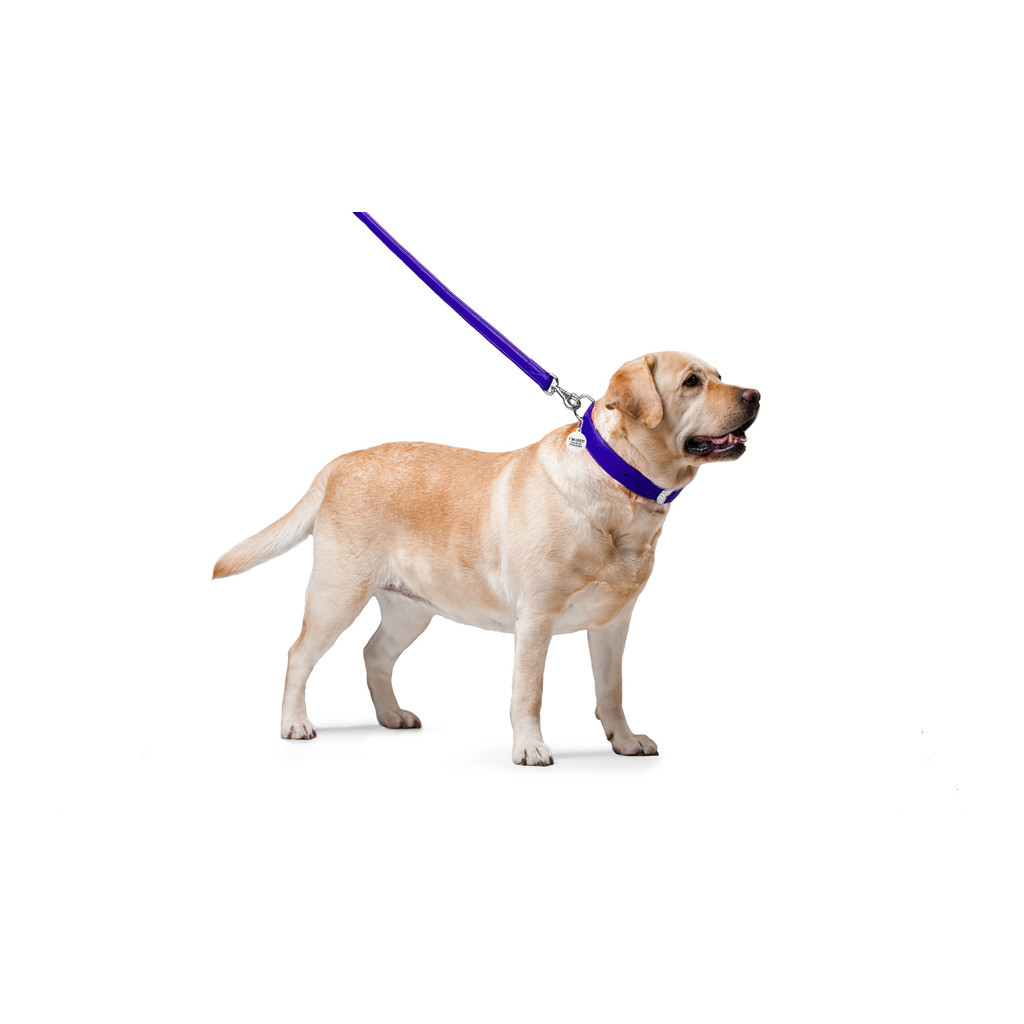 Повідець для собак WAUDOG Glamour шкіряний M-XXL фіолетовий (33769) - зображення 3