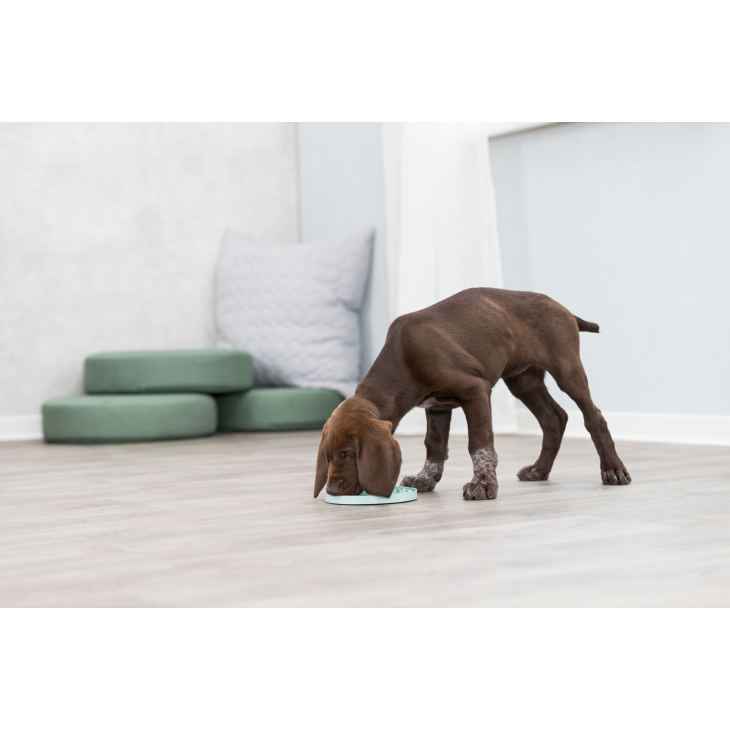 Посуд для собак Trixie Миска «Junior» для повільного годування 15 см (м'ятний) (4011905349541) - изображение 6