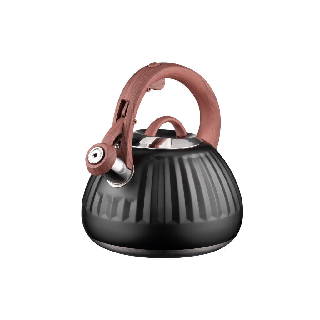 Чайник Ardesto Gemini 2.5 л Чорний (AR1958KS) - зображення 1