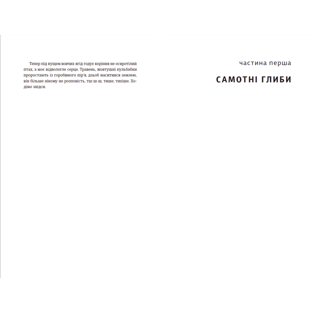 Книга Її порожні місця - Анна Грувер Видавництво Старого Лева (9789664480502) - зображення 5