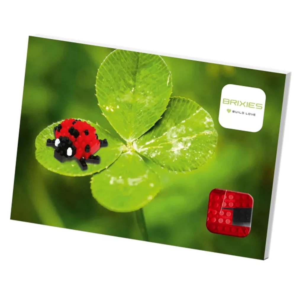 Конструктор BRIXIES Сонечко (220.019) - зображення 1