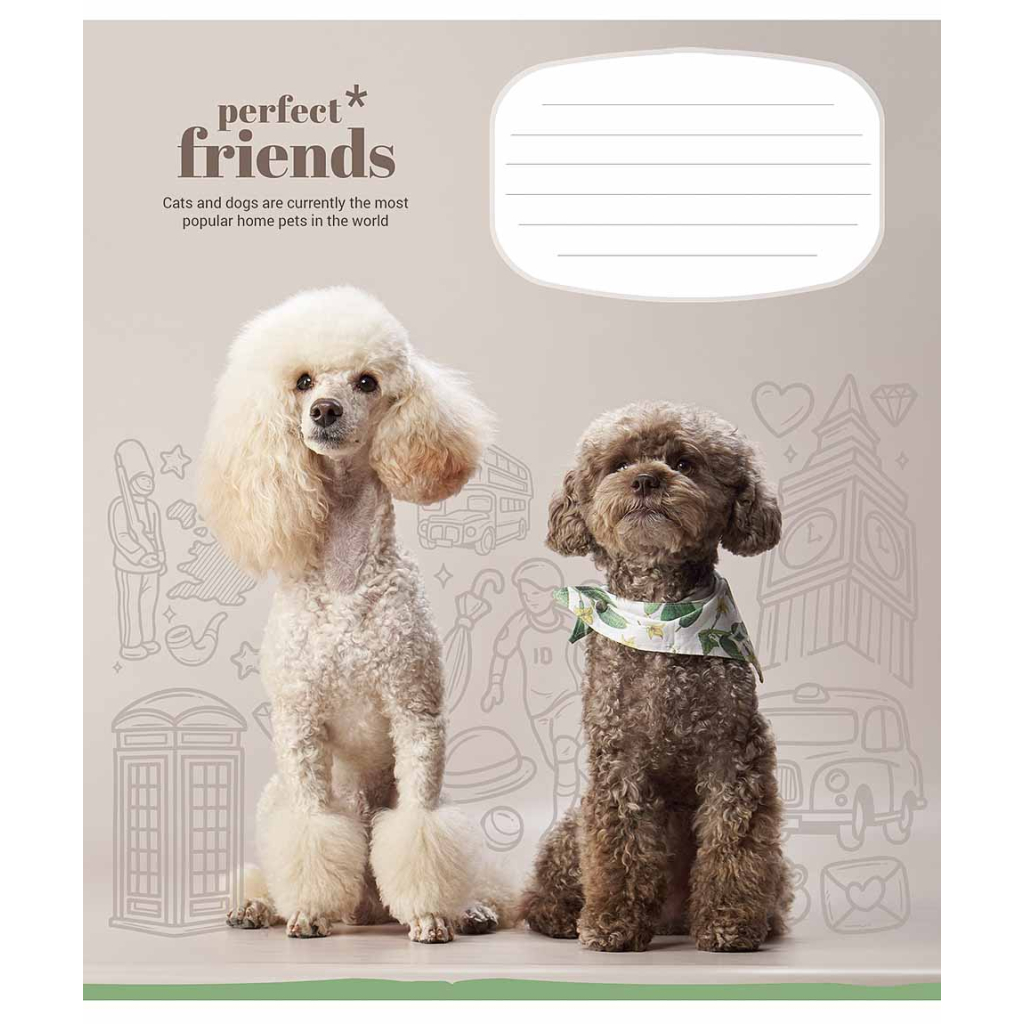 Зошит Школярик Perfect friends 12 аркушів коса лінія (012-3250C) - зображення 3