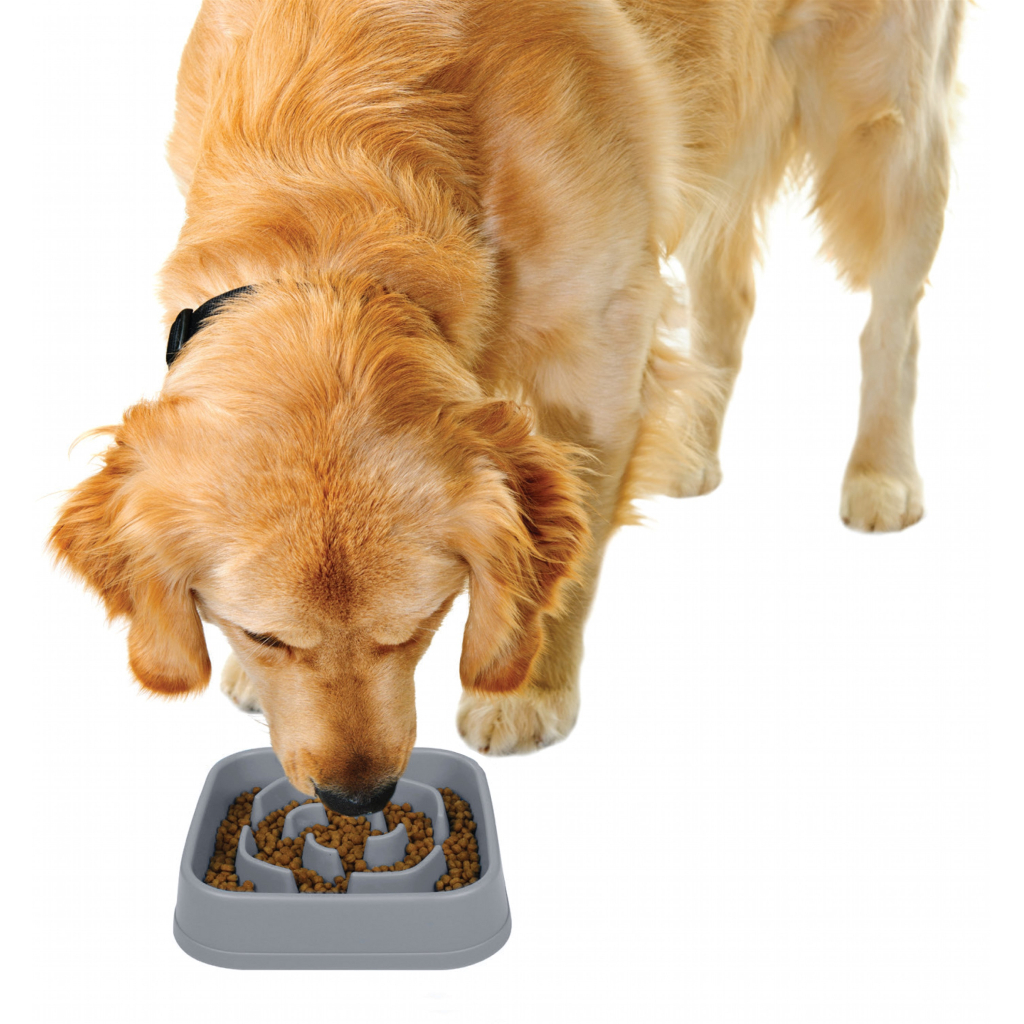 Посуд для собак Dexas Миска Slow Maze Feeder квадратна для повільного годування 960 мл світло-сіра (0084297309923) - зображення 5