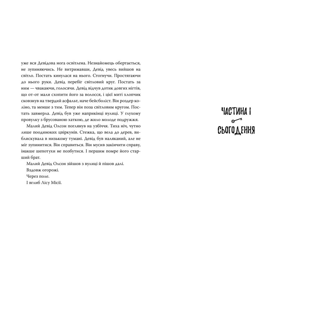 Книга Уявний друг - Стівен Чбоскі Видавництво РМ (9786178373108) - зображення 2
