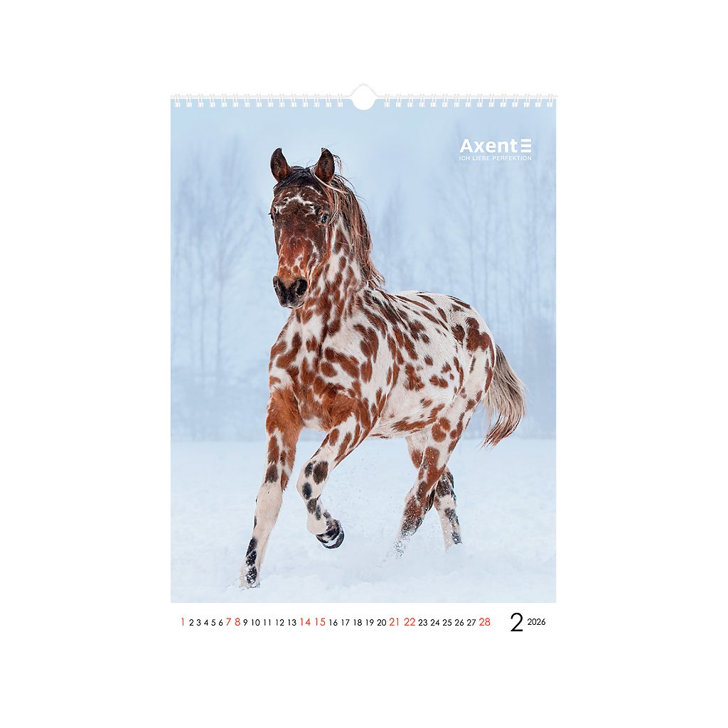 Календар Axent настінний А3 2026 р. Horses (8804-26-3-A) - зображення 3