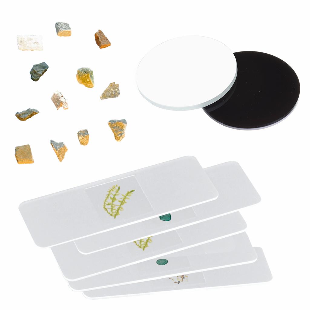 Мікроскоп Bresser Junior Stereo 20х-50x (927782) - зображення 3