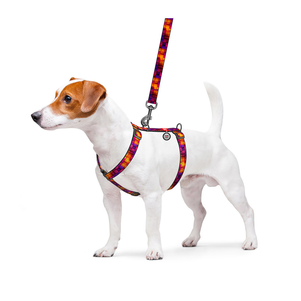 Шлея для собак WAUDOG Nylon з QR-паспортом анатомічна H-подібна "Куби 3Д" пластиковий фастекс S (320-4057) - зображення 3