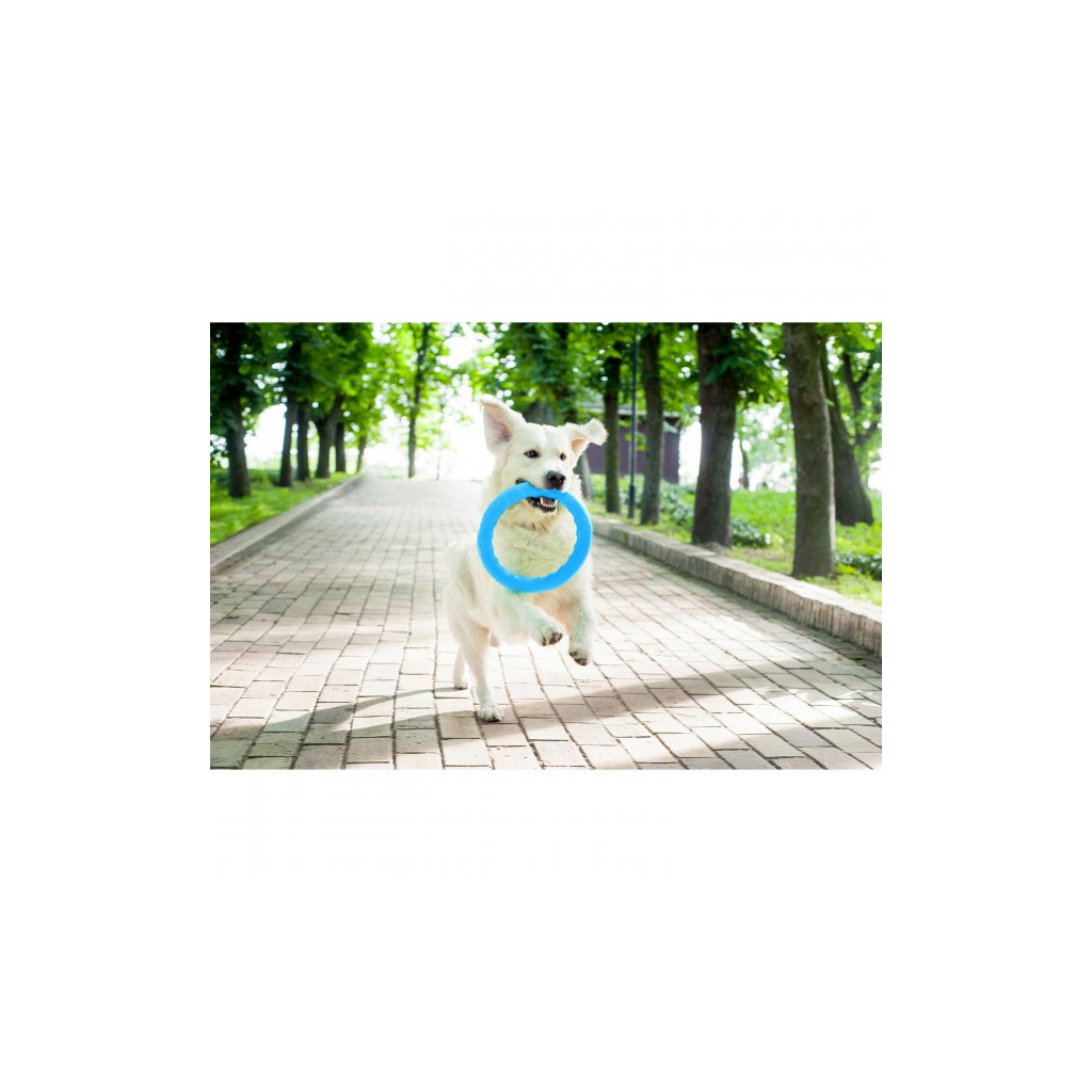 Іграшка для собак Collar PitchDog Кільце для апортування 20 см блакитне (62372) - зображення 5