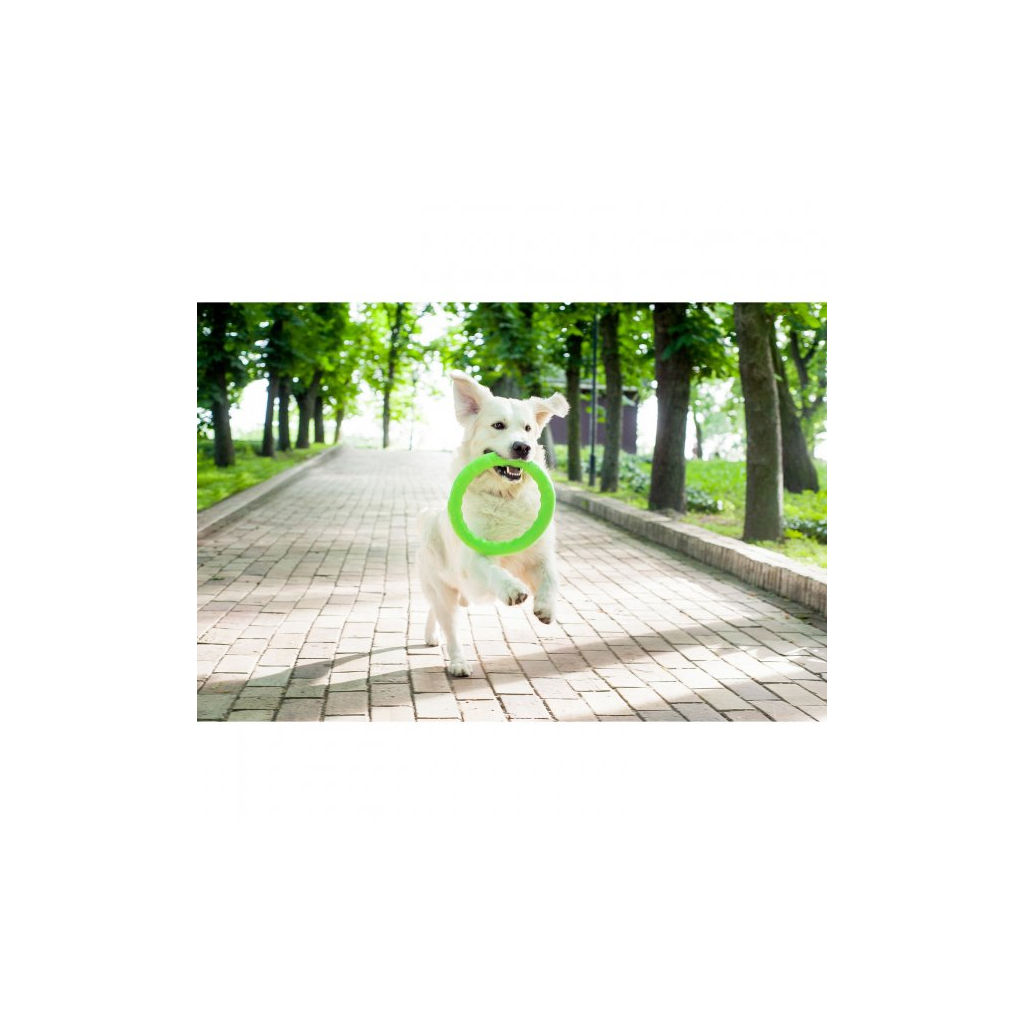 Іграшка для собак Collar PitchDog Кільце для апортування 20 см салатове (62375) - зображення 4