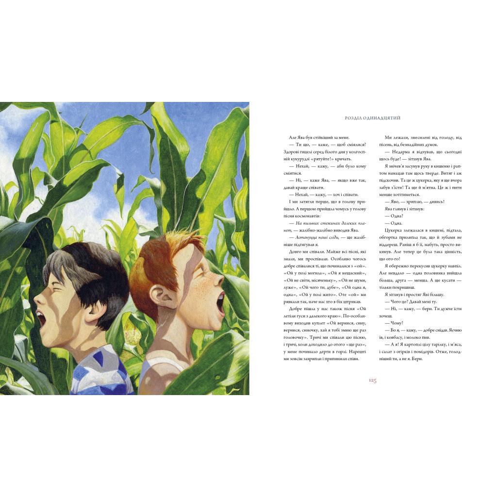 Книга Тореадори з Васюківки. Велике ілюстроване видання. Книга перша - Всеволод Нестайко А-ба-ба-га-ла-ма-га (9786175852484) - зображення 3