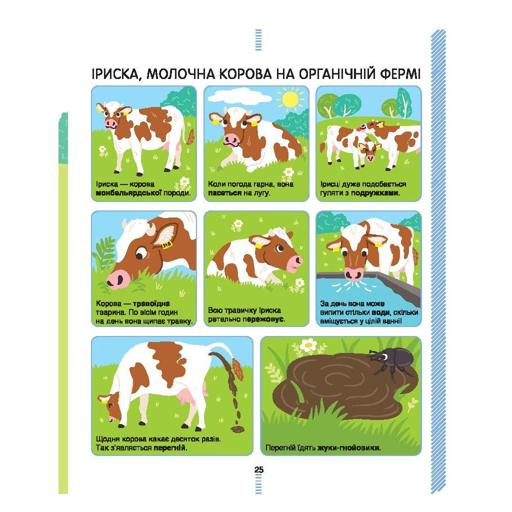 Книга На фермі. Енциклопедія для допитливих - Сесіль Югла #книголав (9786177820382) - зображення 9