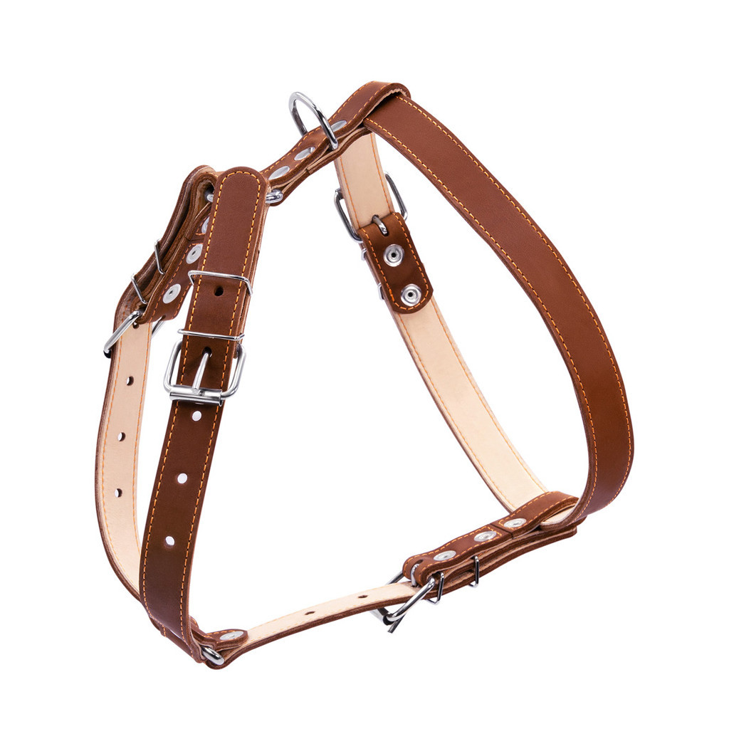 Шлея для собак Collar подвійна для середніх порід Ш 25 мм А:49-68 см В:68-80 см коричнева (06426) - зображення 2