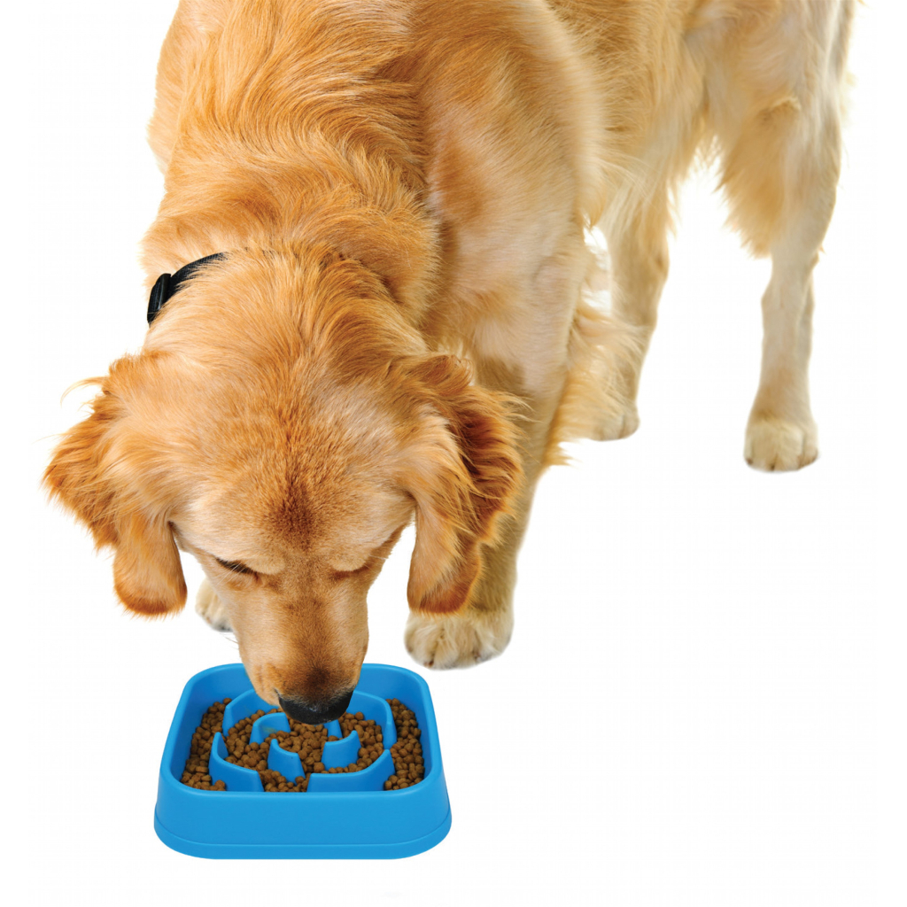 Посуд для собак Dexas Миска Slow Maze Feeder квадратна для повільного годування 960 мл блакитна (0084297309756) - изображение 5