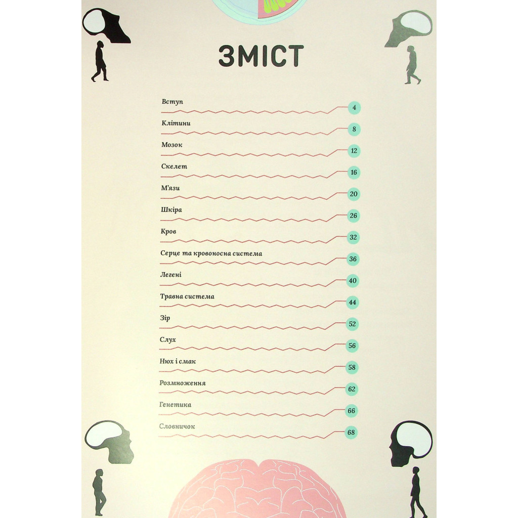 Книга Тіло людини - Кристина Перабоні Жорж (9786177853199) - зображення 4