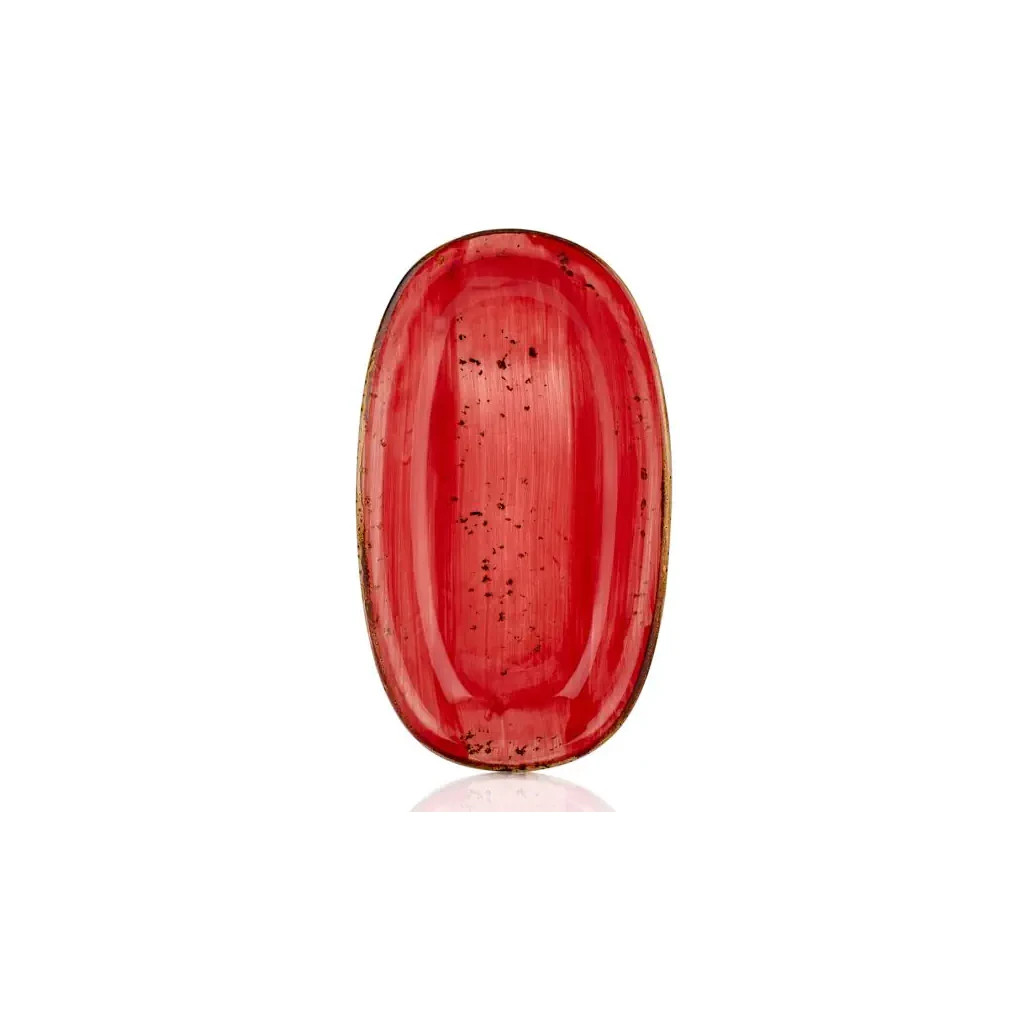 Блюдо By Bone Harmony Ardent овальне 24 х 14 см (HA-AD-ZT-24-OV) - зображення 1