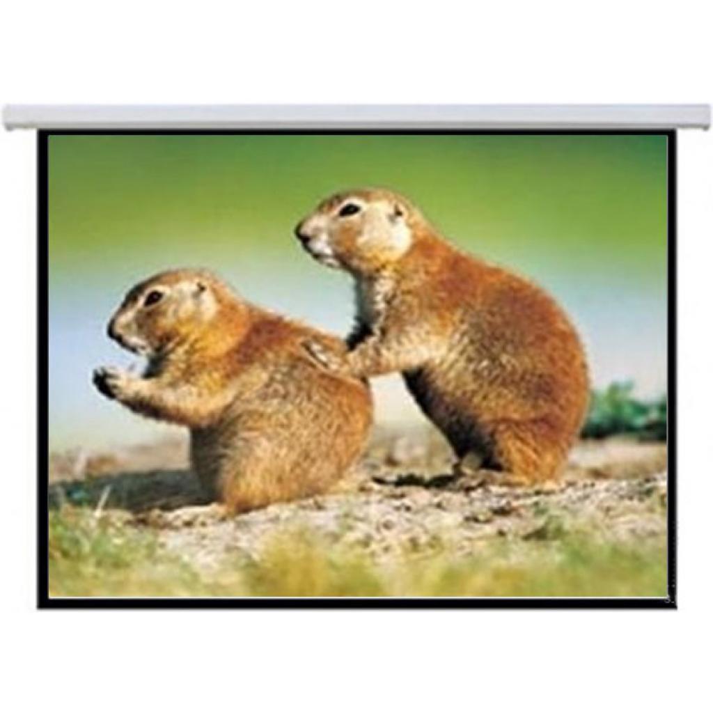 Проекційний екран Lumi PSBC150 - зображення 1