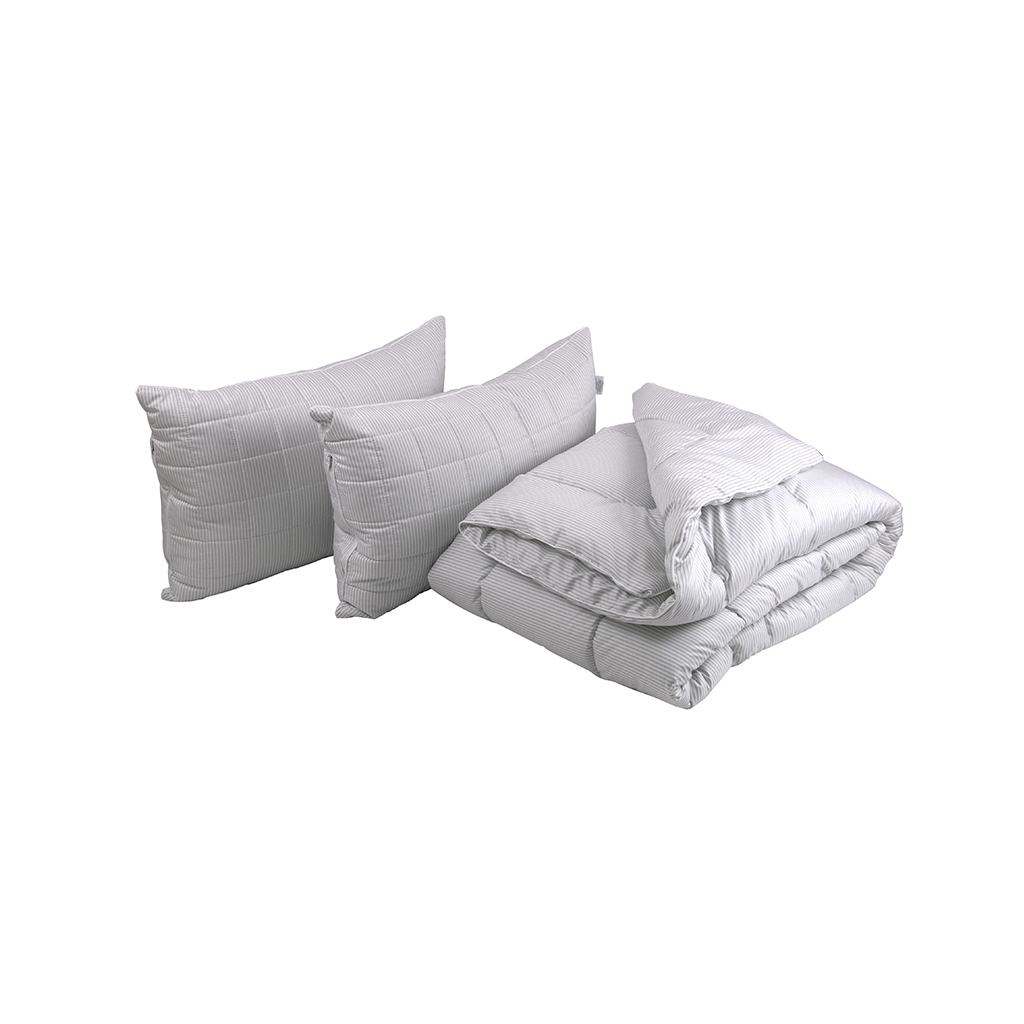 Ковдра Руно Elegante + 2 подушки 50х70, 172 х 205 (925.52_Elegante) - зображення 2