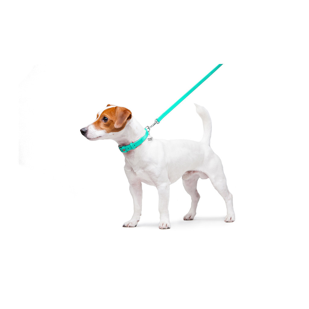 Повідець для собак WAUDOG Glamour шкіряний XS ментоловий (337213) - зображення 3