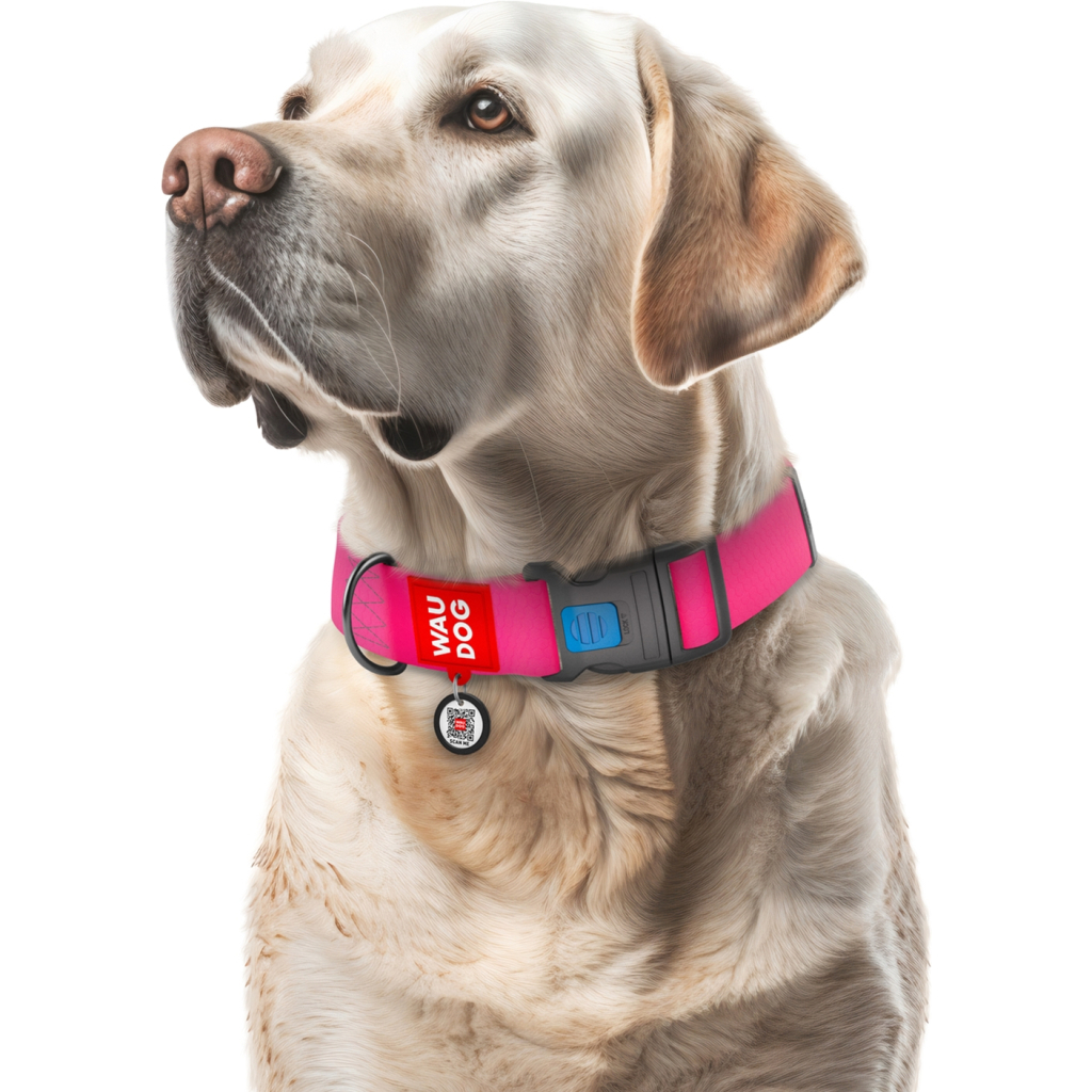 Нашийник для тварин WAUDOG Waterproof з QR паспортом пластиковий фастекс XXL рожевий (25117) - зображення 4