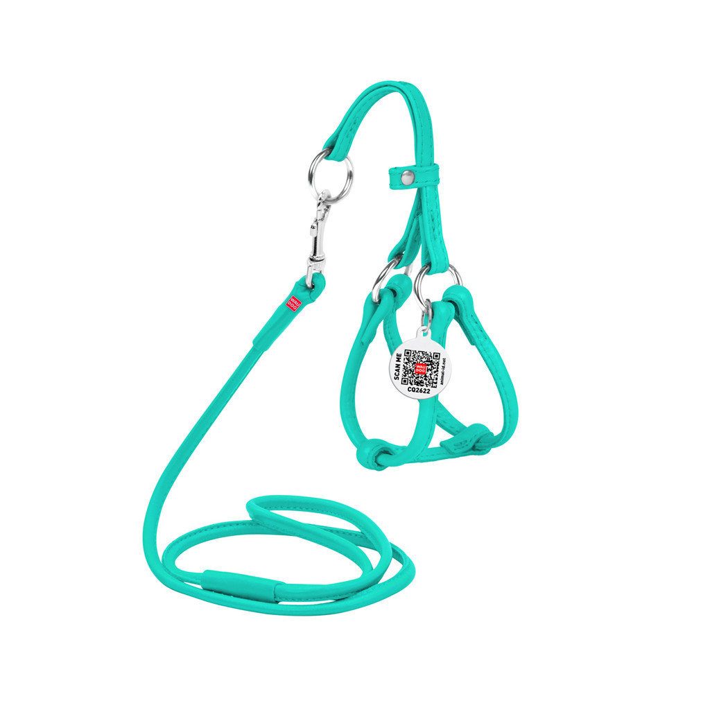 Шлея для собак WAUDOG Glamour кругла, з повідцем XXS ментолова (340113) - зображення 2