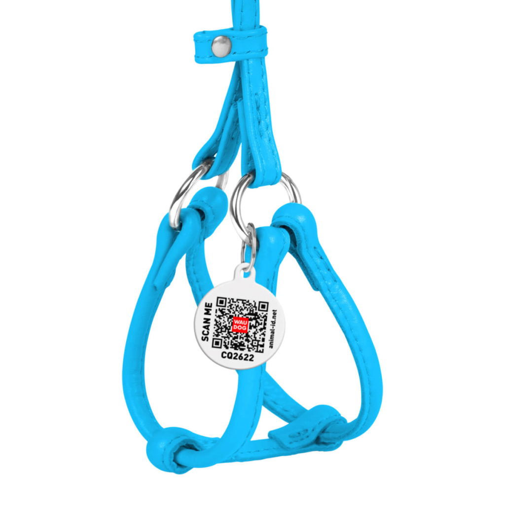Шлея для собак WAUDOG Glamour з повідцем кругла Д 6 мм А 26-46 см В 30-50 см блакитна (34012) - зображення 2