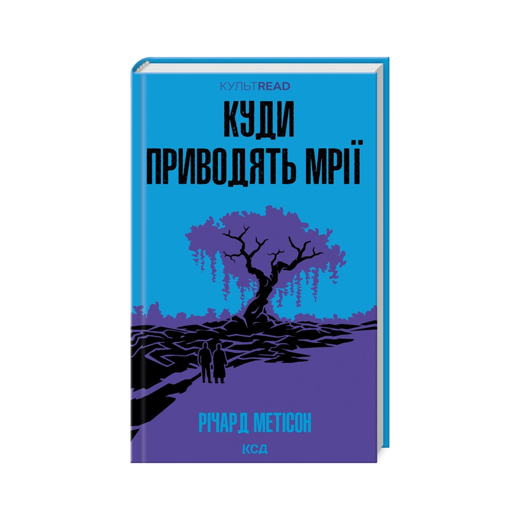 Книга Куди приводять мрії - Річард Метісон КСД (9786171506497) - зображення 1