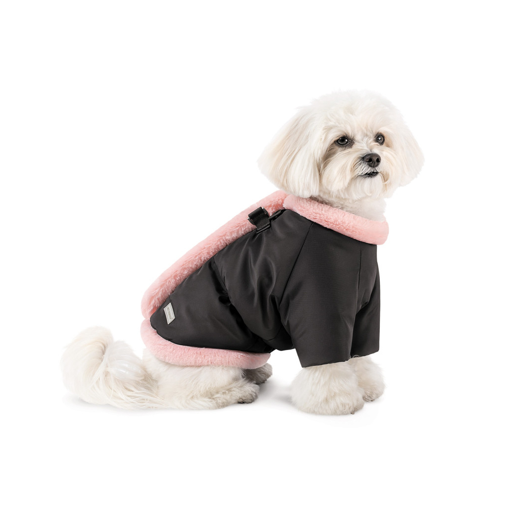 Курточка для тварин Pet Fashion Mery ХS2 (4823082443147) - зображення 2