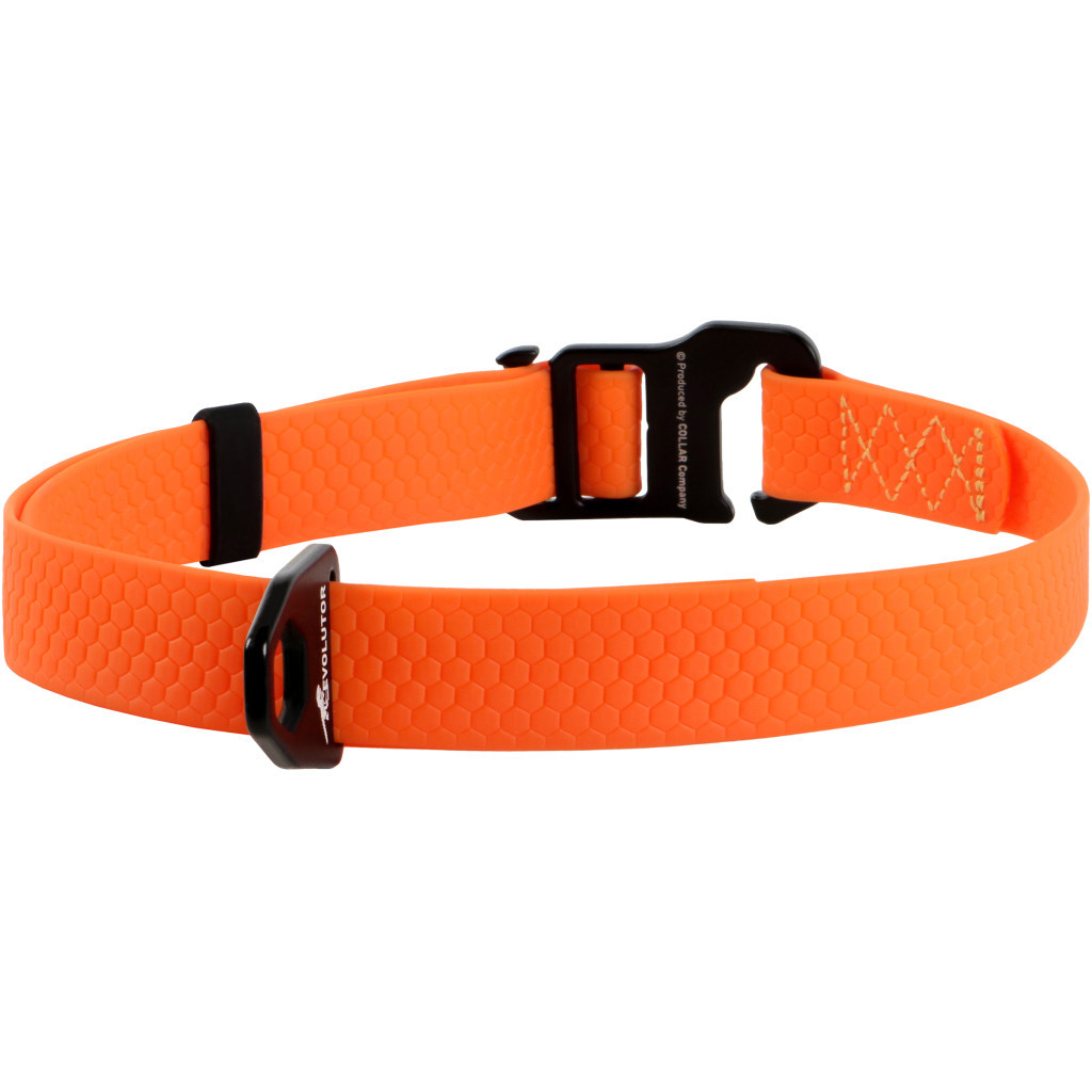 Нашийник для тварин Collar Evolutor 25 мм 25-70 см (помаранчевий) (42434) - зображення 2