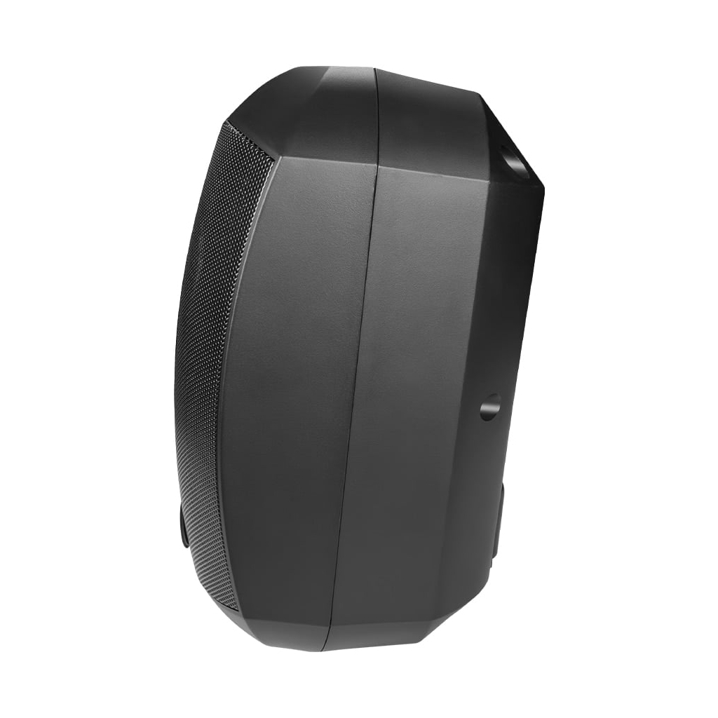 Гучномовець CMX WSK-420DS - изображение 3