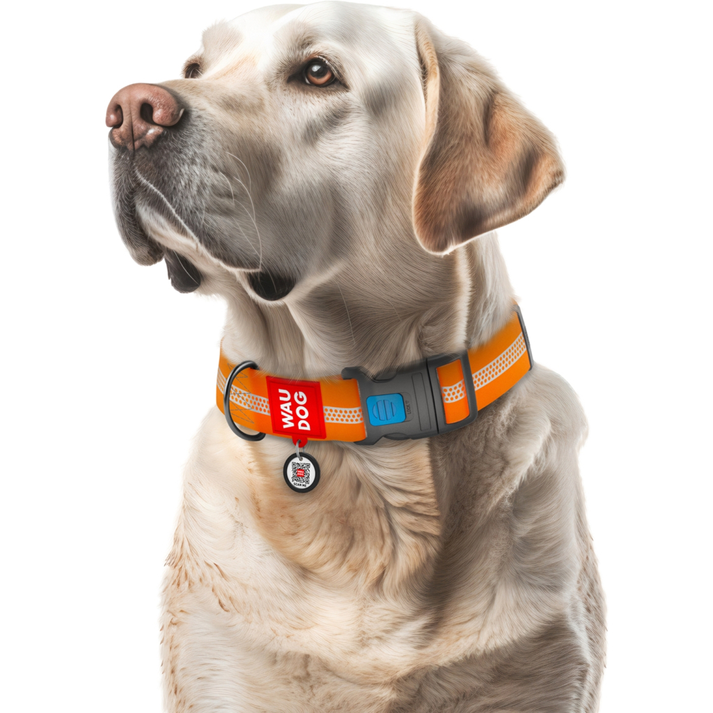Нашийник для тварин WAUDOG Waterproof пластиковий фастекс XXL Ш 40 мм Д 46-70 см помаранчевий (25104) - зображення 4