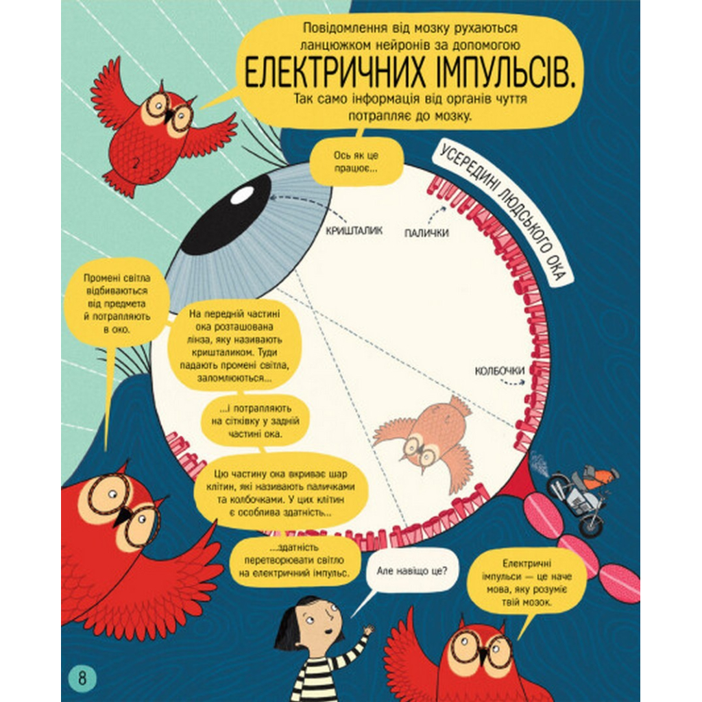 Книга Книжка про мозок і те, як він працює - Бетіна Іп #книголав (9786178012243) - зображення 8