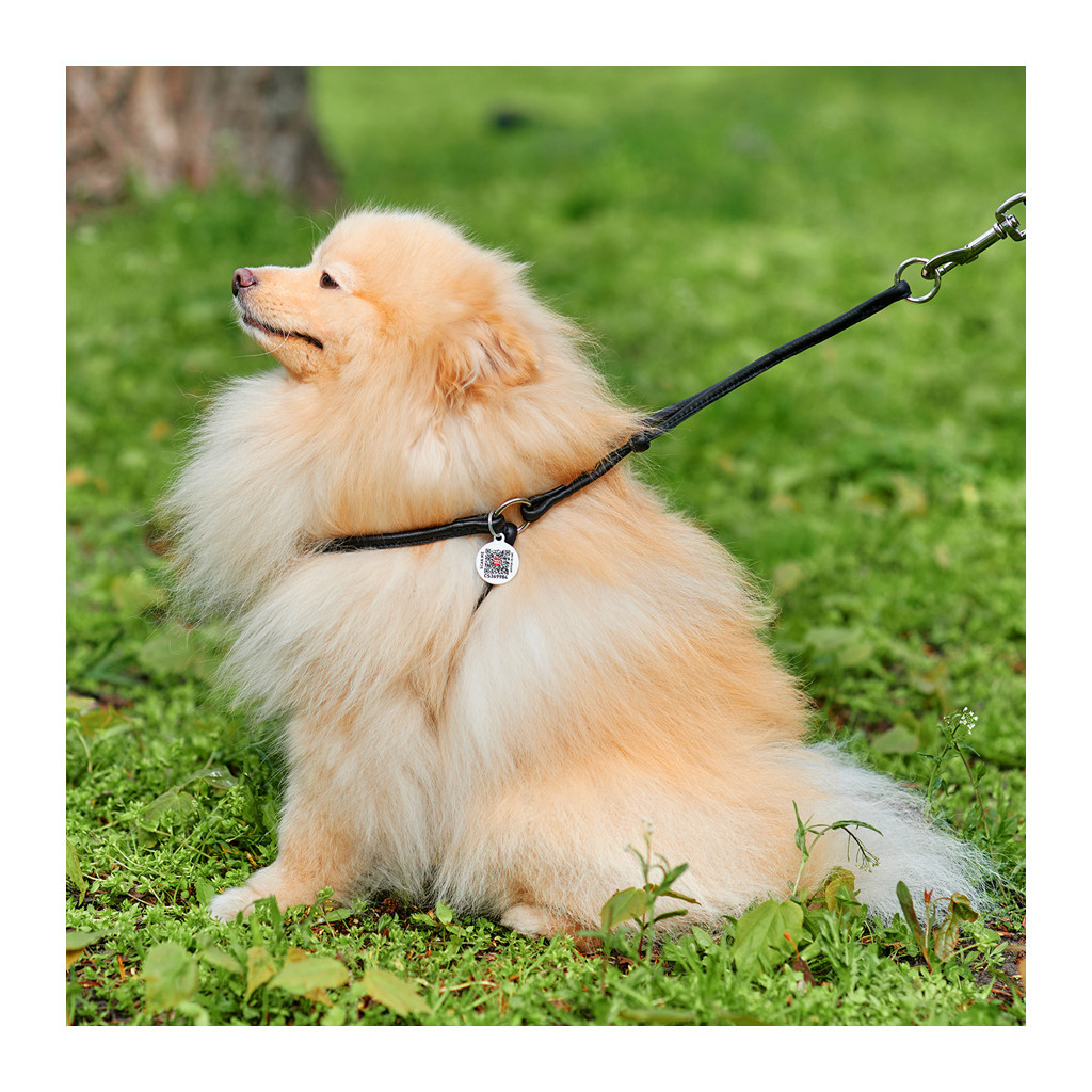 Шлея для собак WAUDOG Soft з QR паспортом кругла Д 6 мм А 42-60 см В 46-64 см чорна (46201) - зображення 2