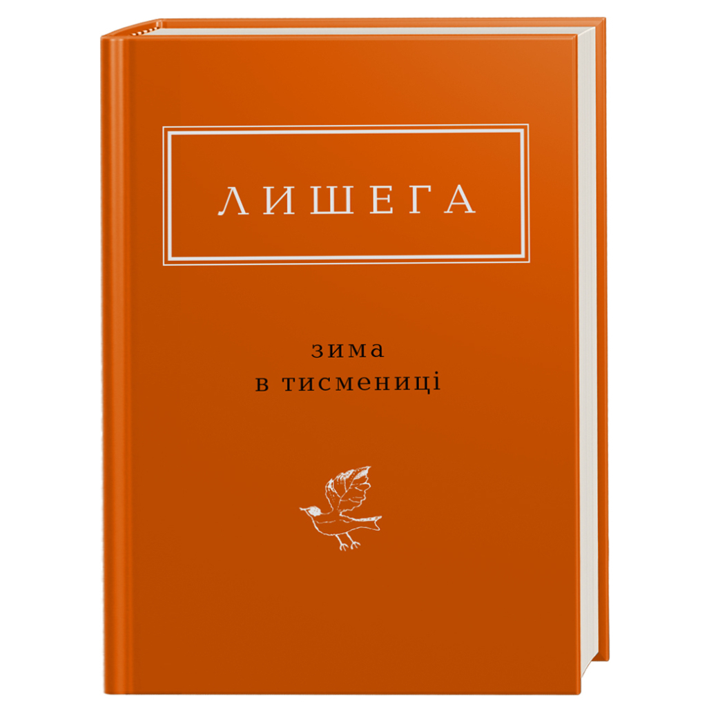 Книга Зима в Тисмениці - Олег Лишега А-ба-ба-га-ла-ма-га (9786175850664) - зображення 1