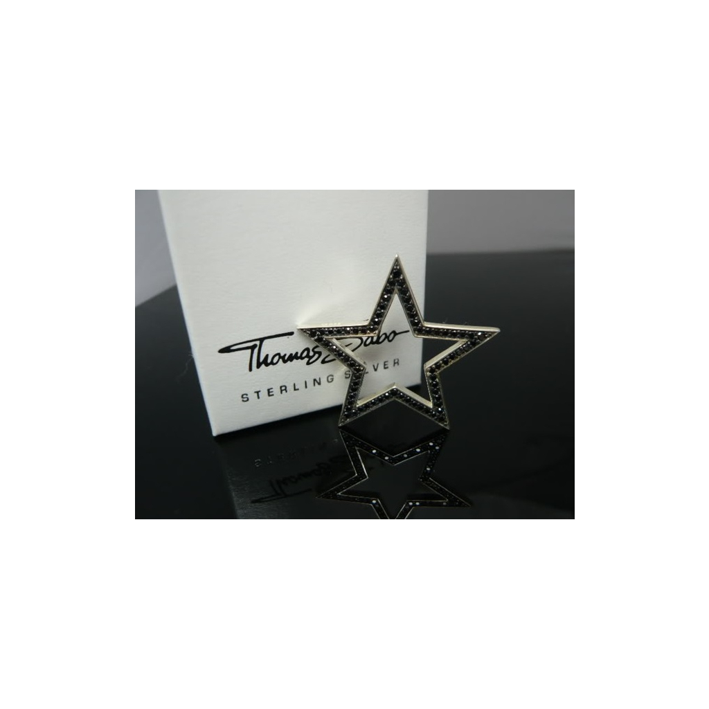 Кулон Thomas Sabo PE326-1-196 - зображення 1