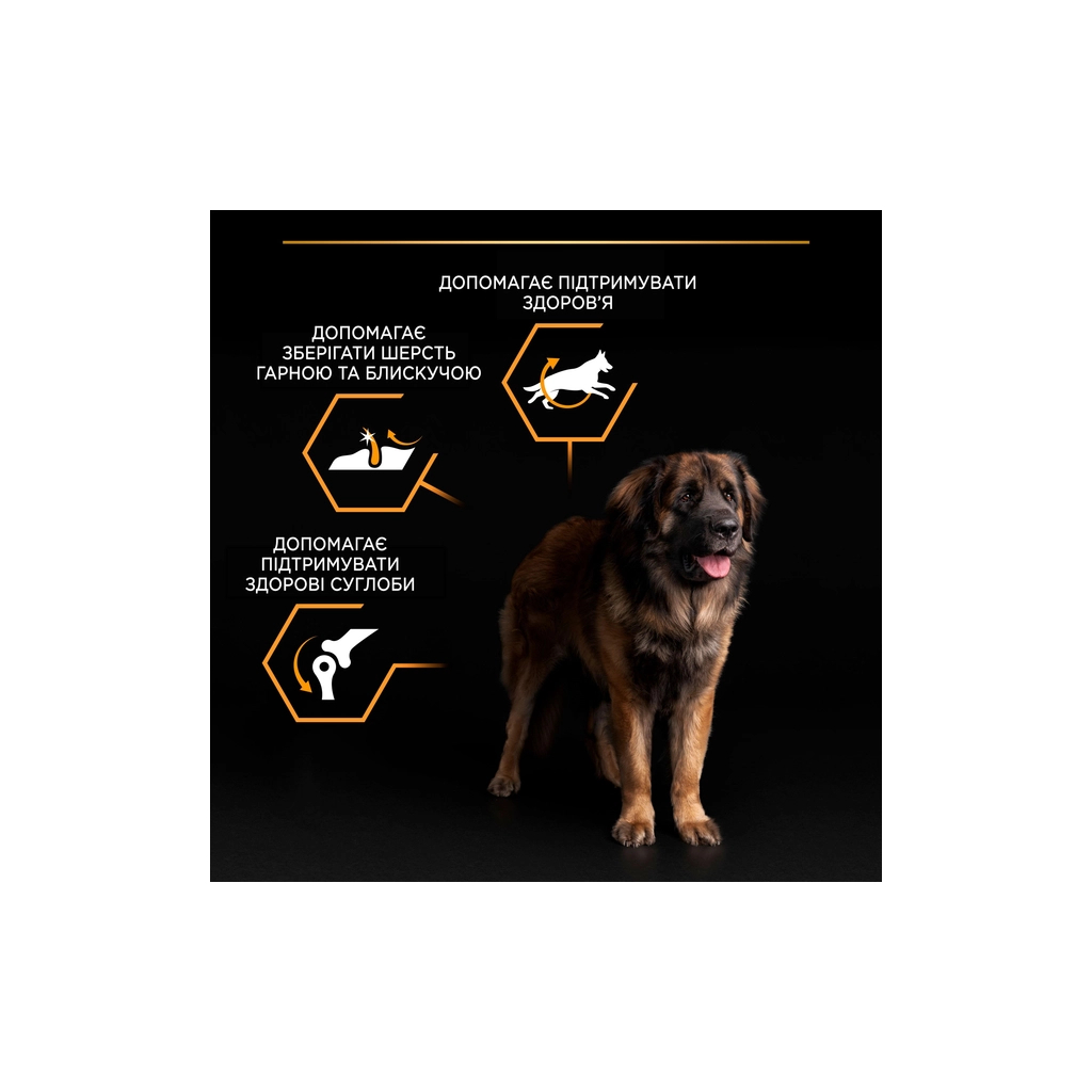 Сухий корм для собак Purina Pro Plan Dog Large Adult Robust з куркою 14 кг (7613035120426) - зображення 8