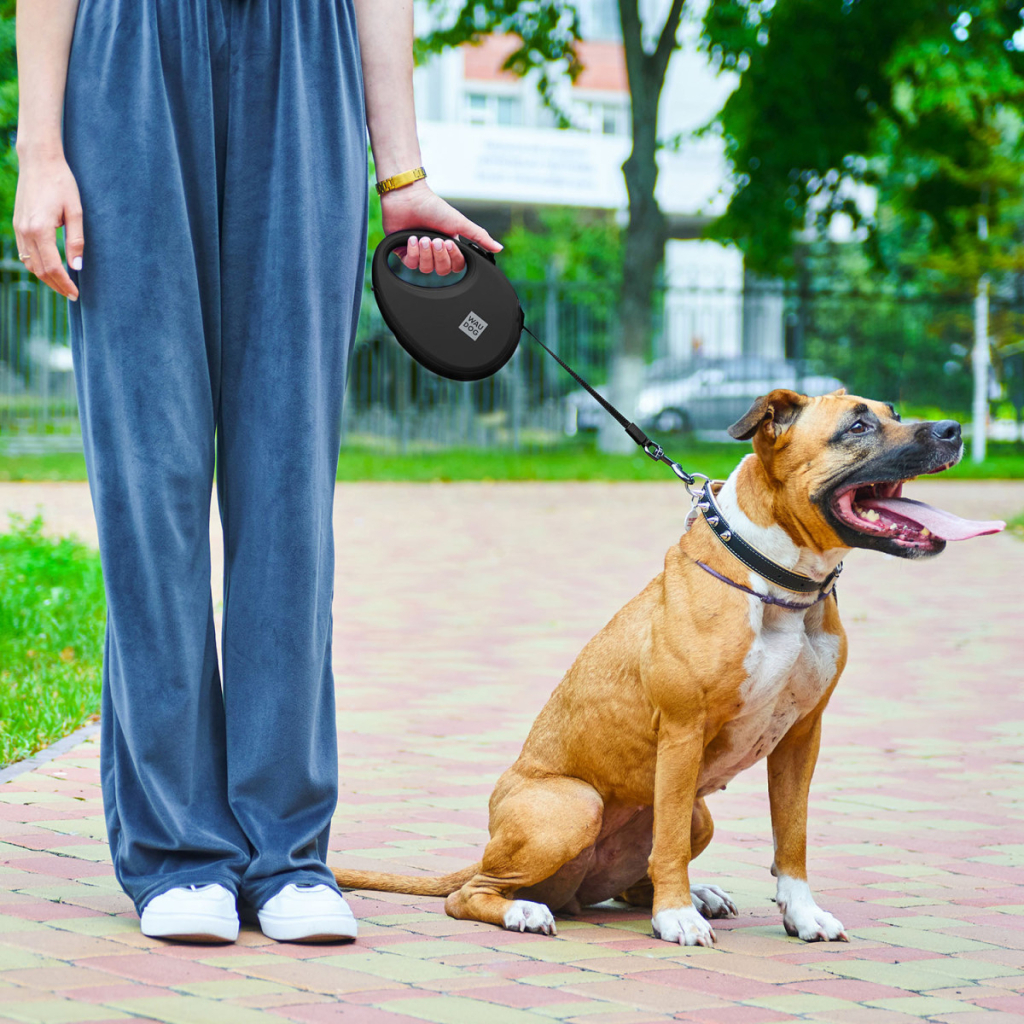 Повідець для собак WAUDOG R-leash з контейнером для пакетів S до 12 кг 3 м чорний (26271) - зображення 6