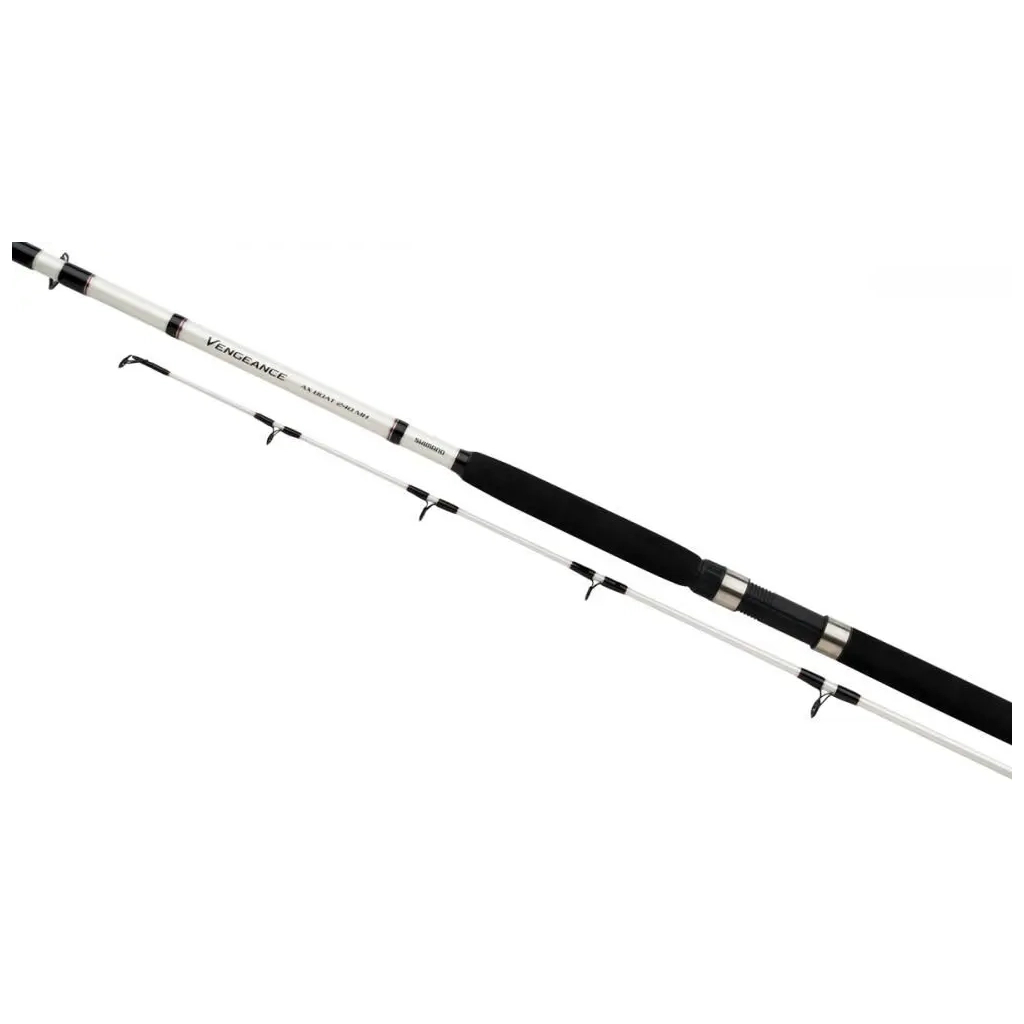Вудилище Shimano Vengeance AX Boat 2.40m max 300g (VAXBT240H) - зображення 1