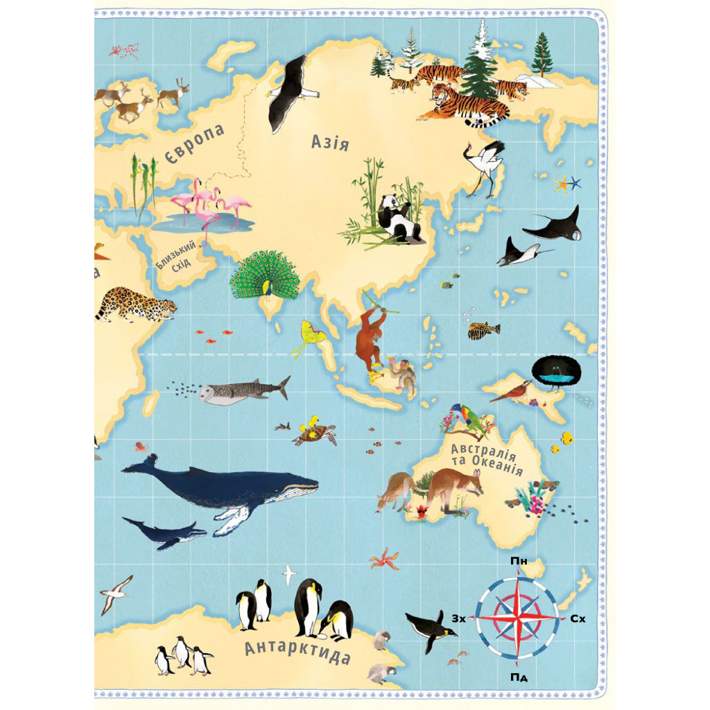 Книга Атлас тварин - Емілі Гокінс, Рейчел Вільямс #книголав (9786177563388) - зображення 5