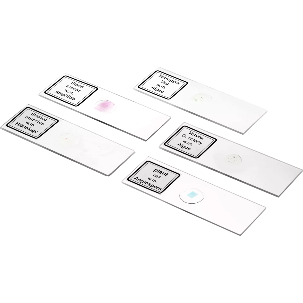 Мікроскоп Bresser Biolux DLX 20x-1280x (5014000) (931424) - зображення 5